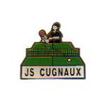 pin's tennis de table