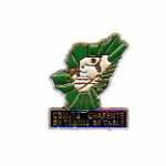 pin's tennis de table