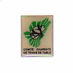 pin's tennis de table