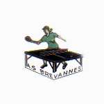pin's tennis de table