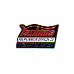 pin's tennis de table