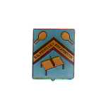 pin's tennis de table