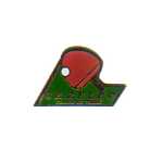 pin's tennis de table