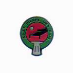 pin's tennis de table