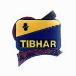 pin's tennis de table