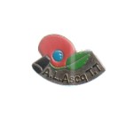 pin's tennis de table